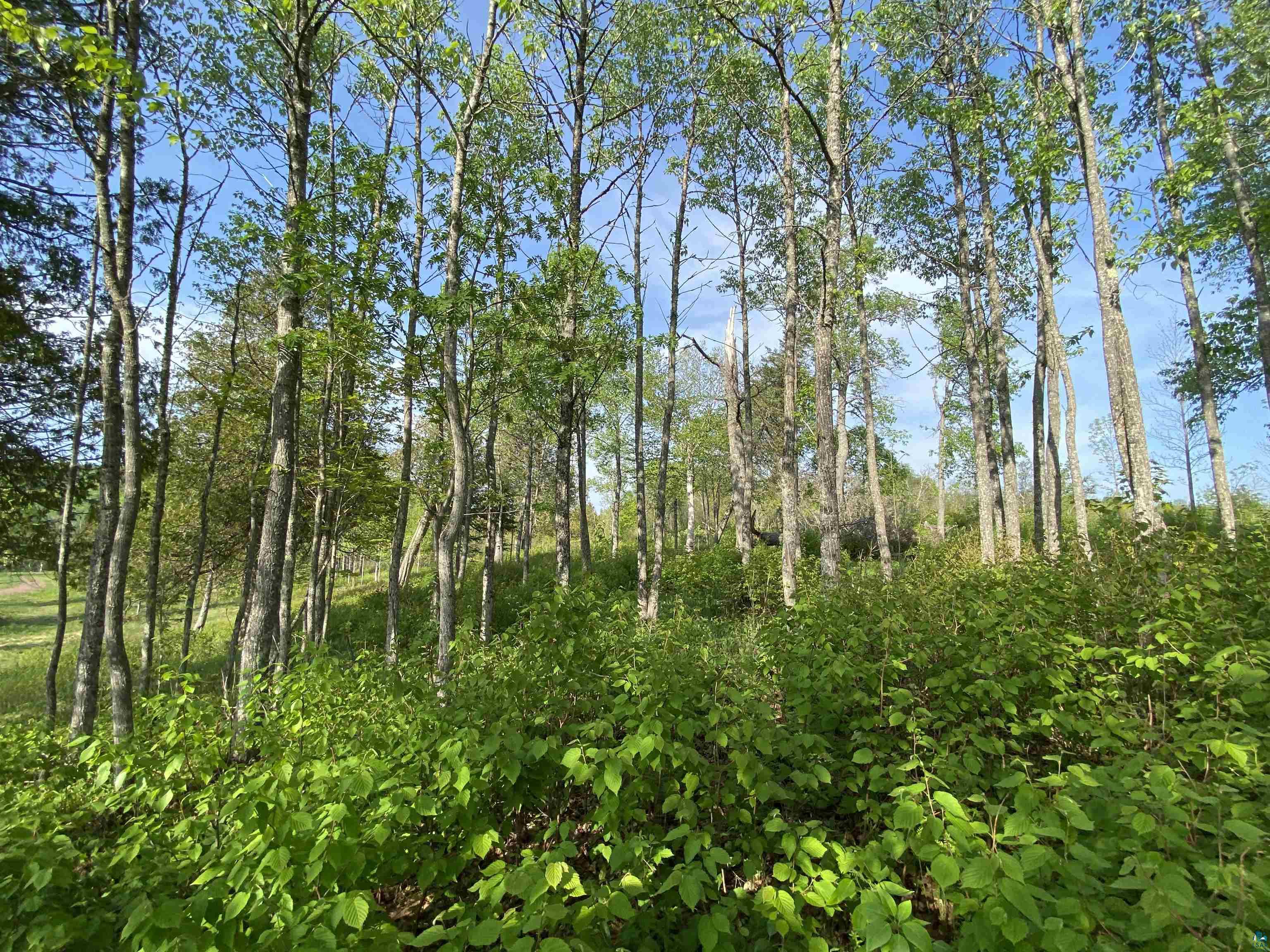 932 Pike Lake Road Grand Marais, MN 55604 - Photo 16 of 21