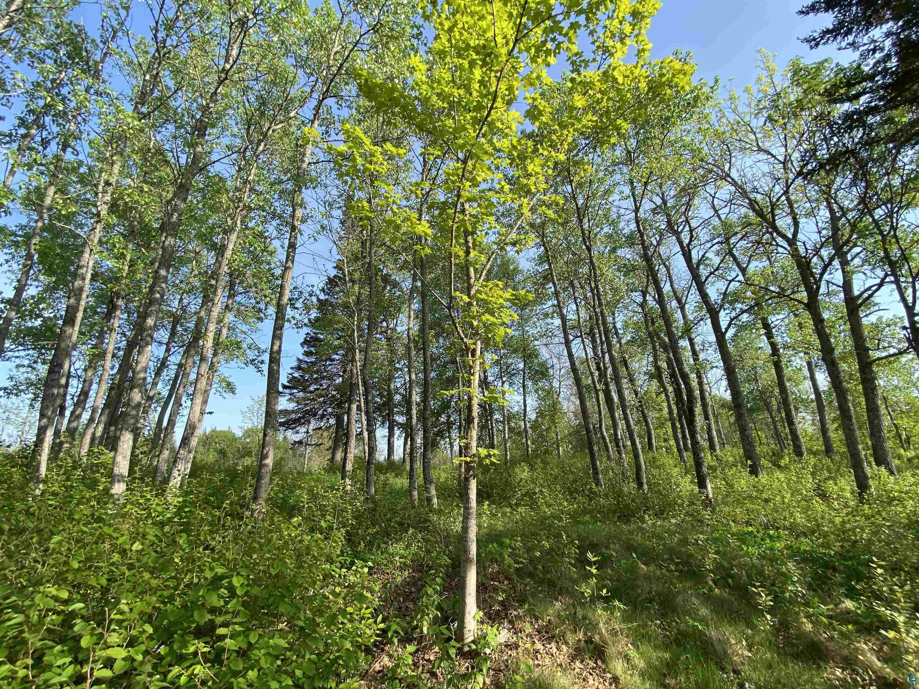 932 Pike Lake Road Grand Marais, MN 55604 - Photo 17 of 21