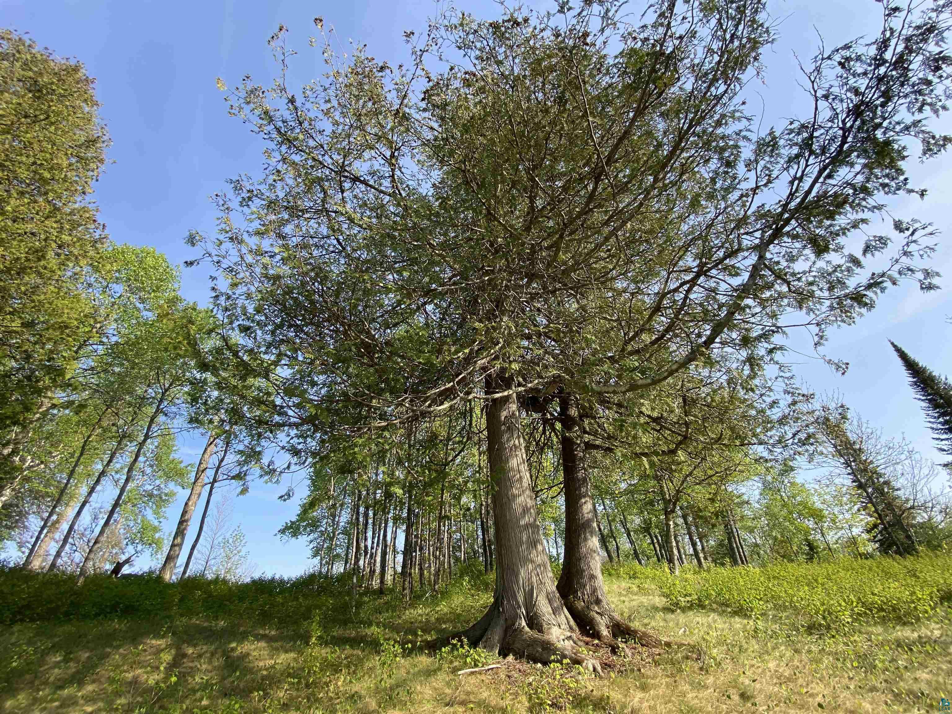 932 Pike Lake Road Grand Marais, MN 55604 - Photo 18 of 21