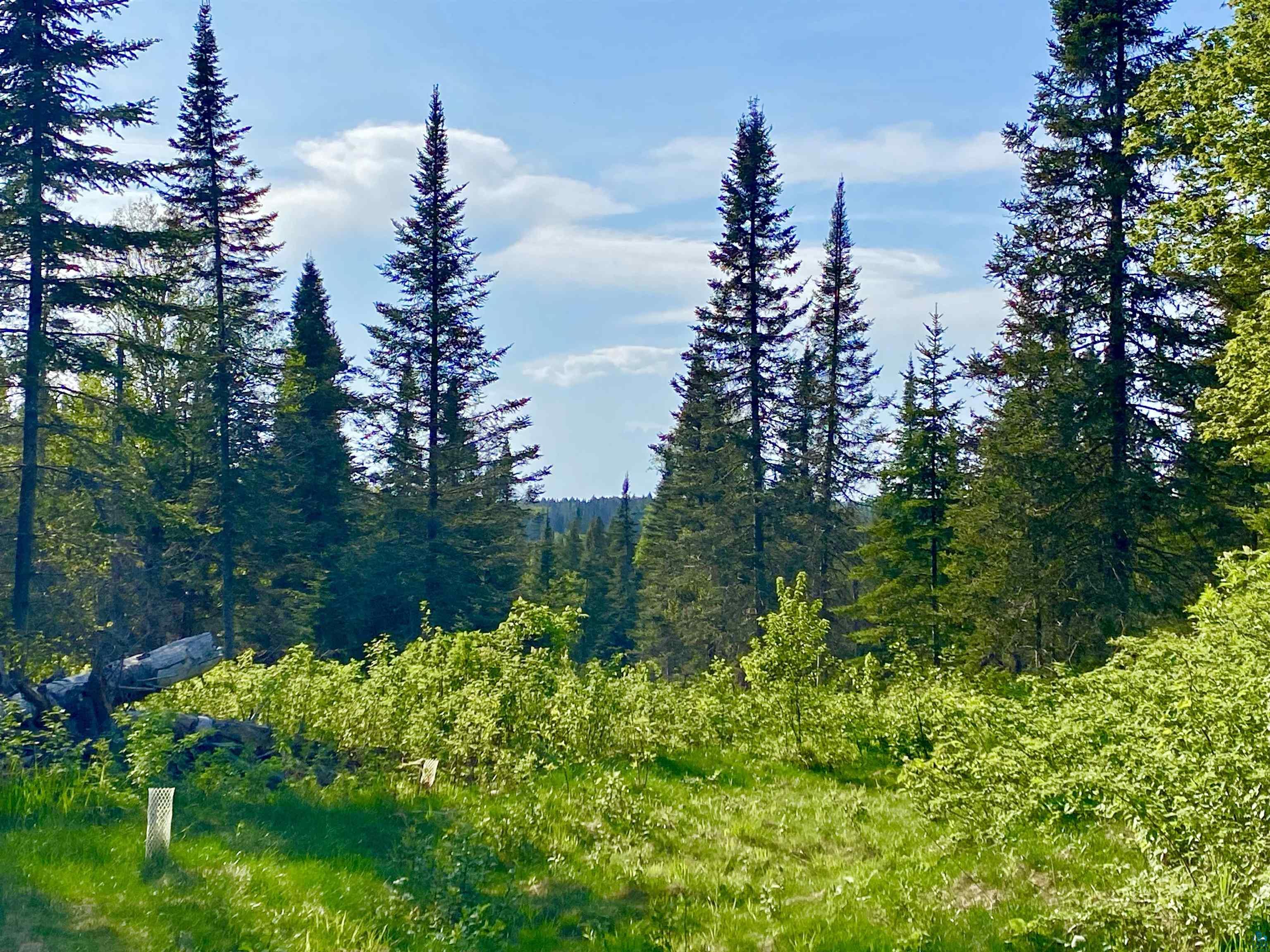 932 Pike Lake Road Grand Marais, MN 55604 - Photo 19 of 21