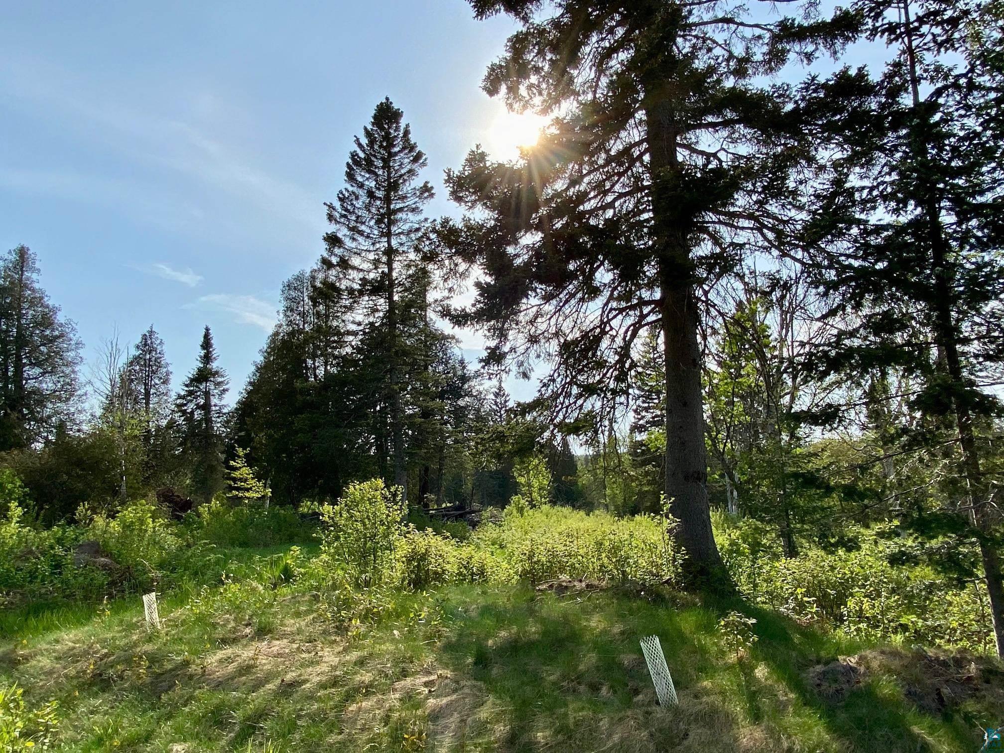 932 Pike Lake Road Grand Marais, MN 55604 - Photo 21 of 21