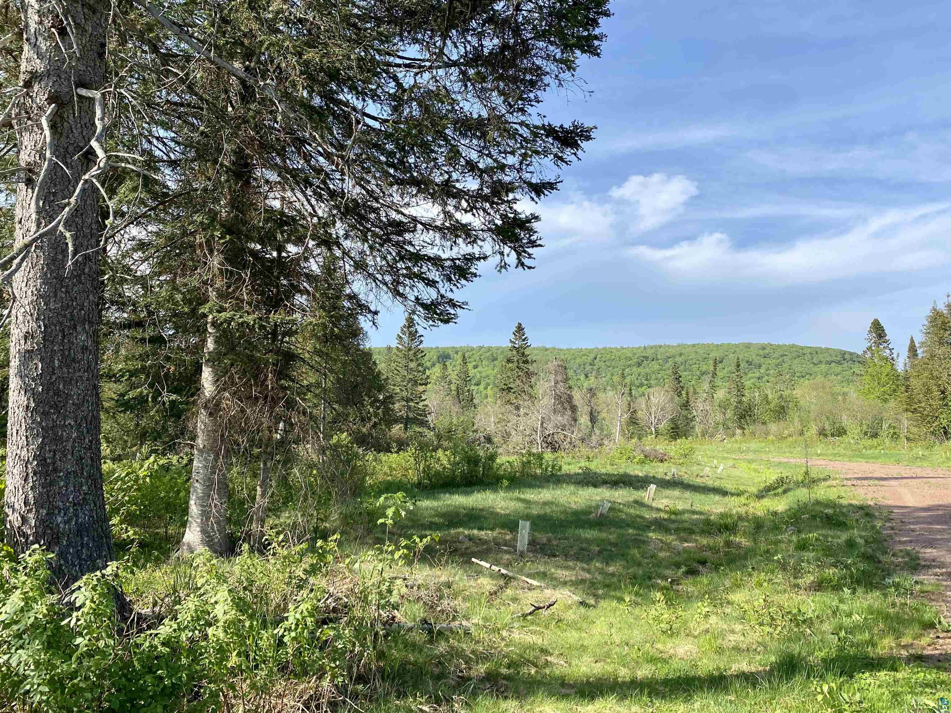 932 Pike Lake Road Grand Marais, MN 55604 - Photo 3 of 21