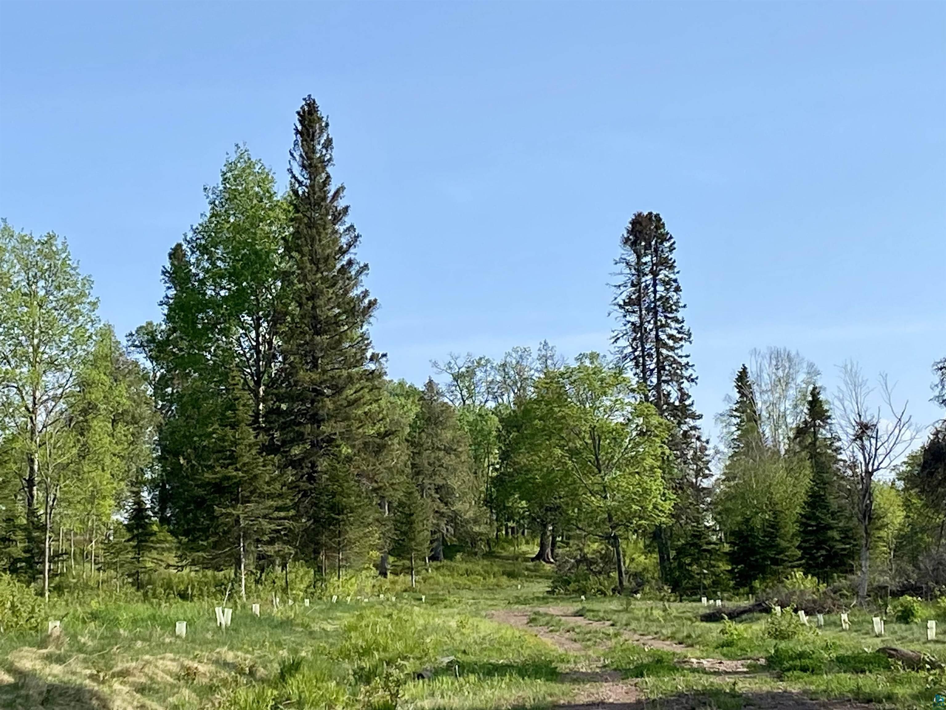 932 Pike Lake Road Grand Marais, MN 55604 - Photo 5 of 21