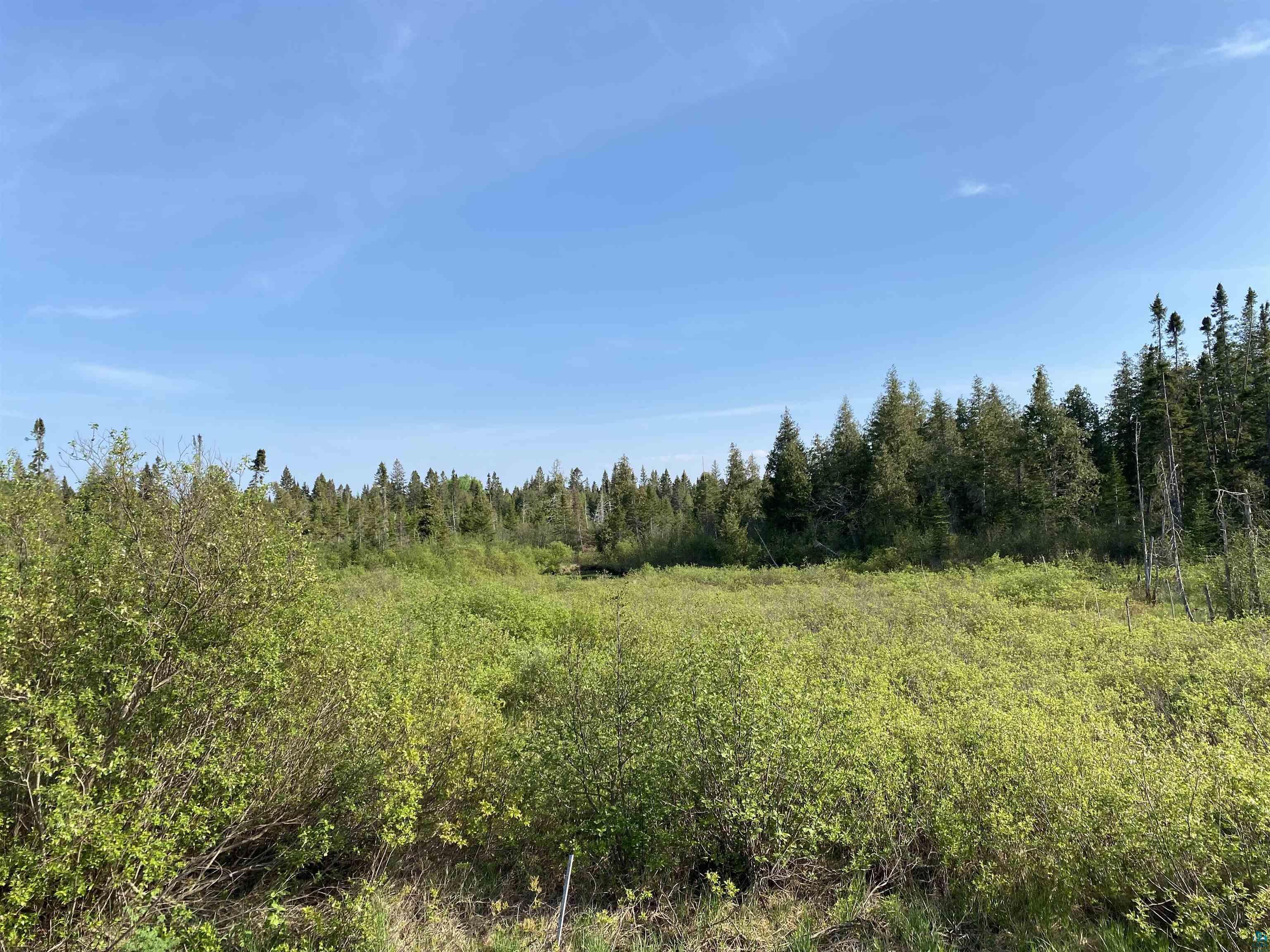 932 Pike Lake Road Grand Marais, MN 55604 - Photo 6 of 21