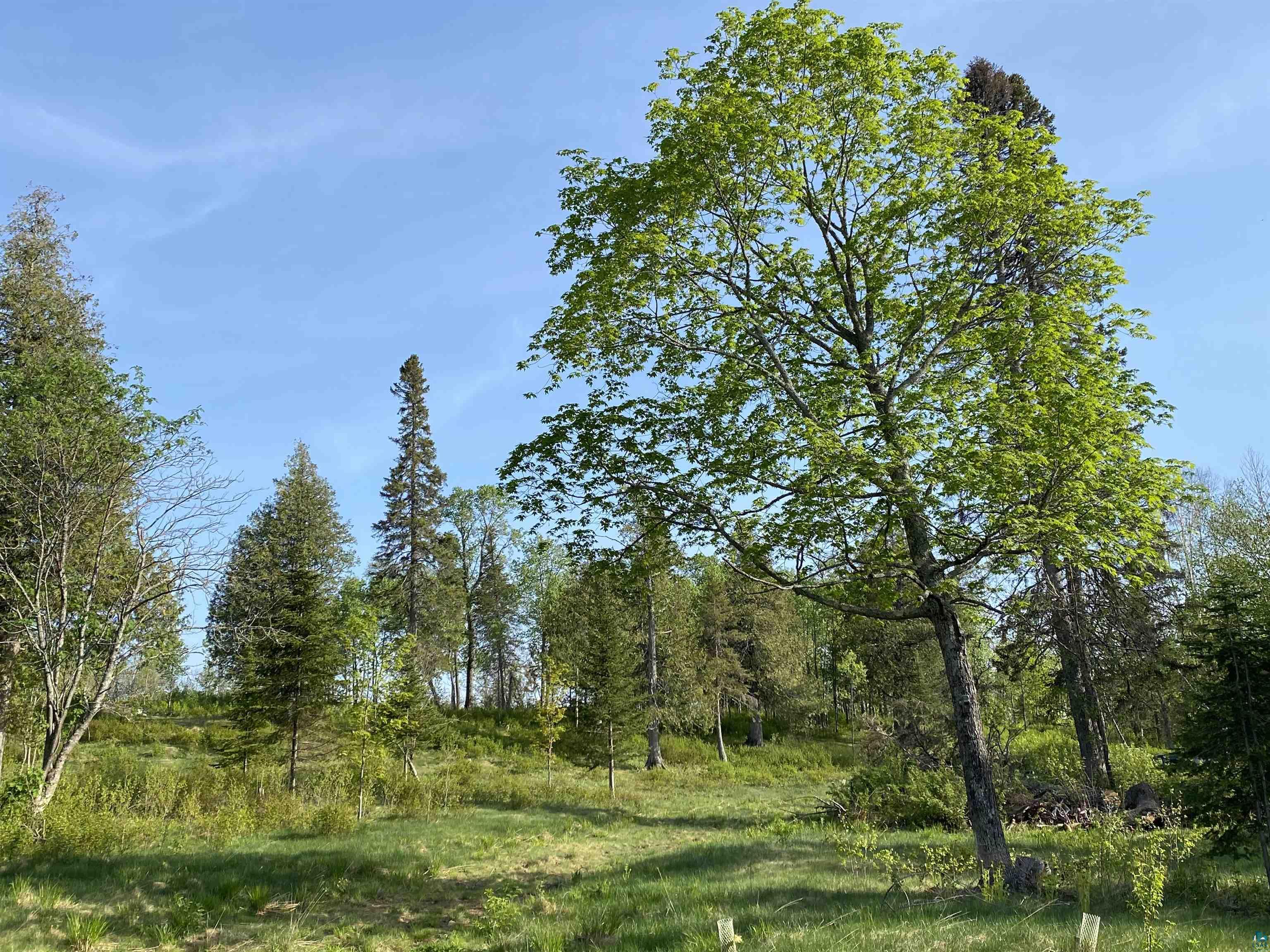 932 Pike Lake Road Grand Marais, MN 55604 - Photo 8 of 21