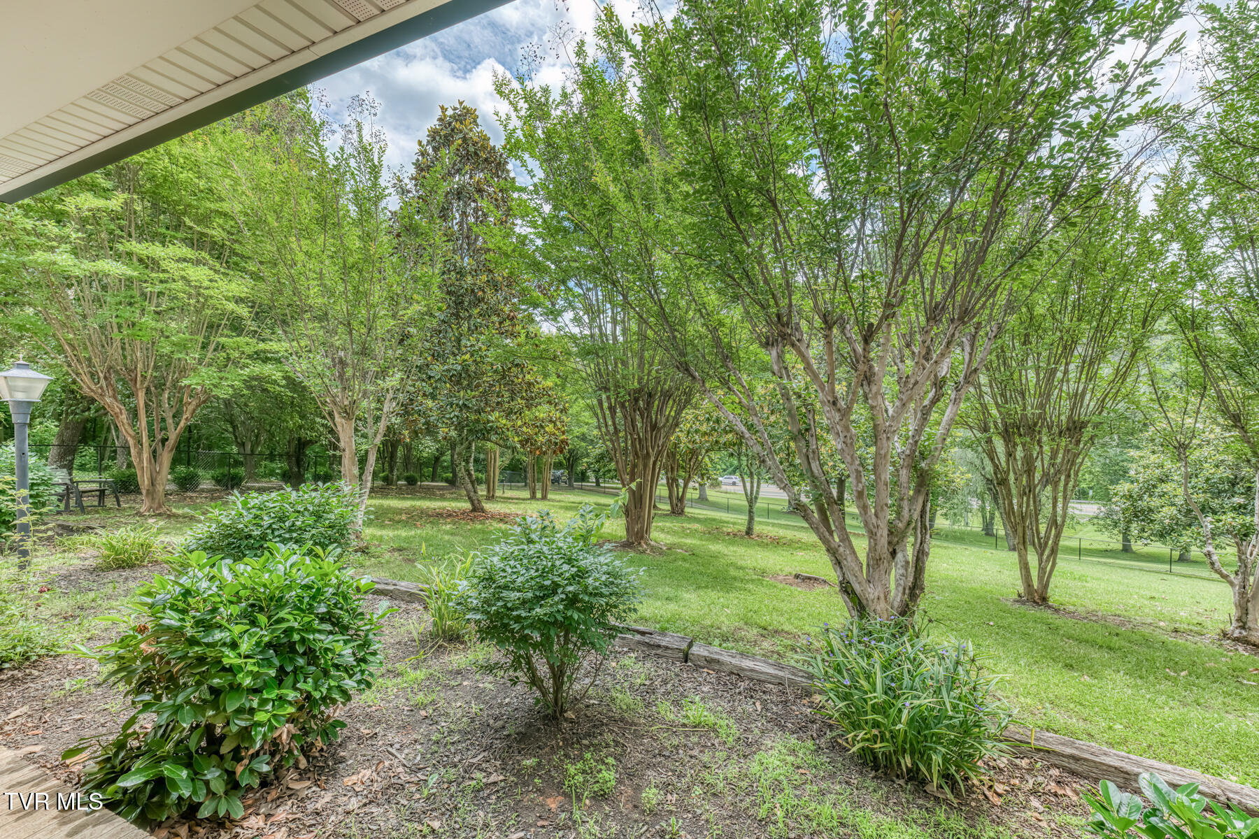3935 Erwin Highway Afton, TN 37616 - Photo 62 of 83 3935 Erwin Hwy-7