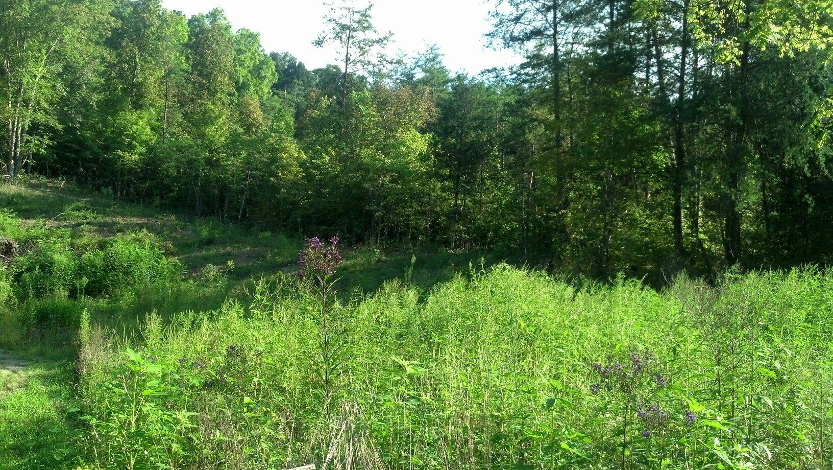 tater valley rd-granger county