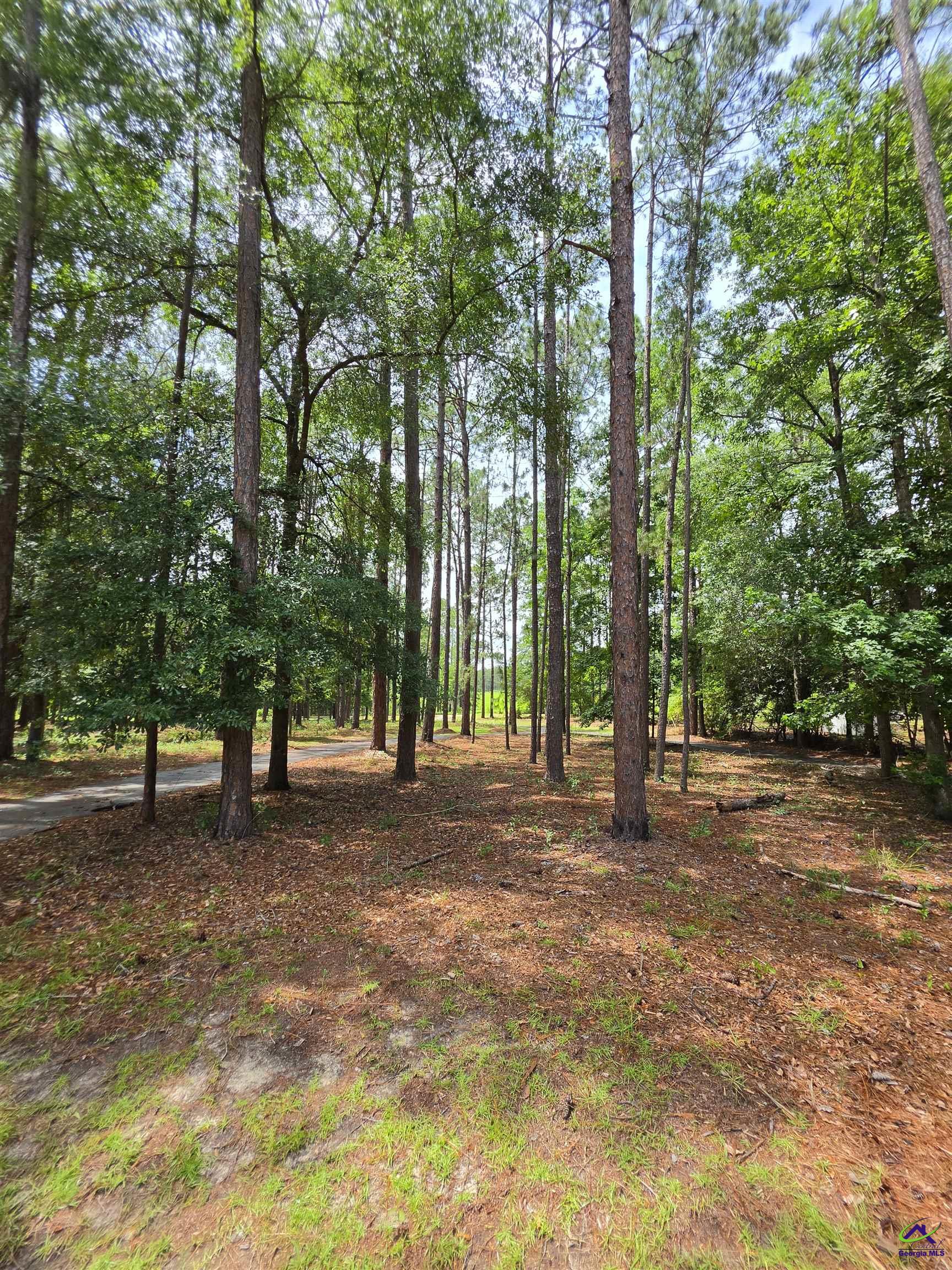 692 Albert Lampkin Road Eastman, GA 31023 - Photo 6 of 62
