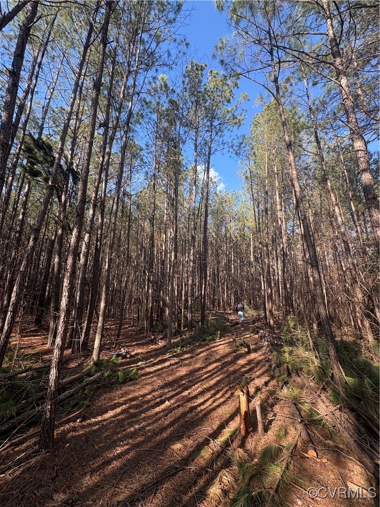 a view of outdoor space with trees