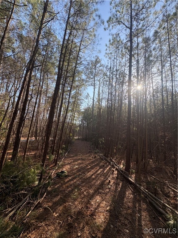 30-a-201 Ridgefield Road Mathews, VA 23109 - Photo 2 of 5 View of street