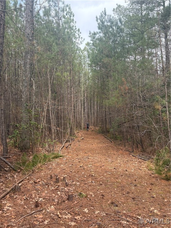 30-a-201 Ridgefield Road Mathews, VA 23109 - Photo 3 of 5 View of woods
