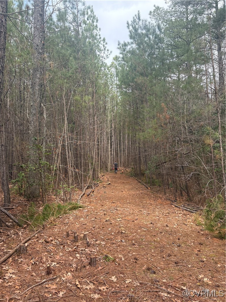 30-a-201 Ridgefield Road Mathews, VA 23109 - Photo 3 of 5 a view of a yard with trees