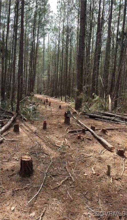 30-a-201 Ridgefield Road Mathews, VA 23109 - Photo 4 of 5 View of woods