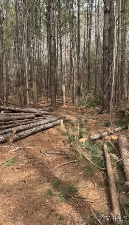 30-a-201 Ridgefield Road Mathews, VA 23109 - Photo 5 of 5 View of local wilderness