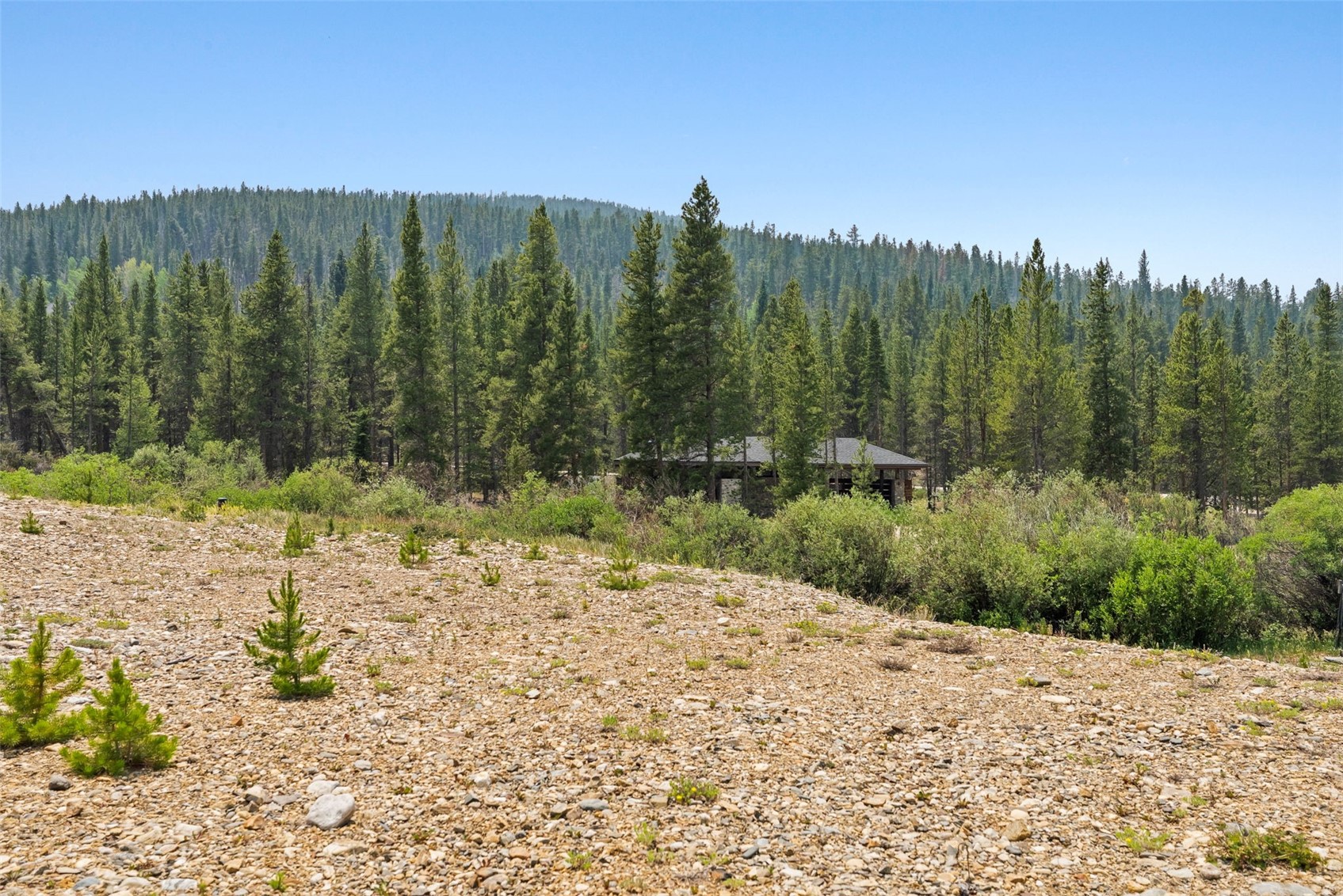 2383 Tiger Road Breckenridge, CO 80424 - Photo 44 of 50