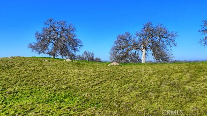 41 Highway 41 Friant, CA 93626 - Photo 11 of 22 a view of yard with swimming pool and trees