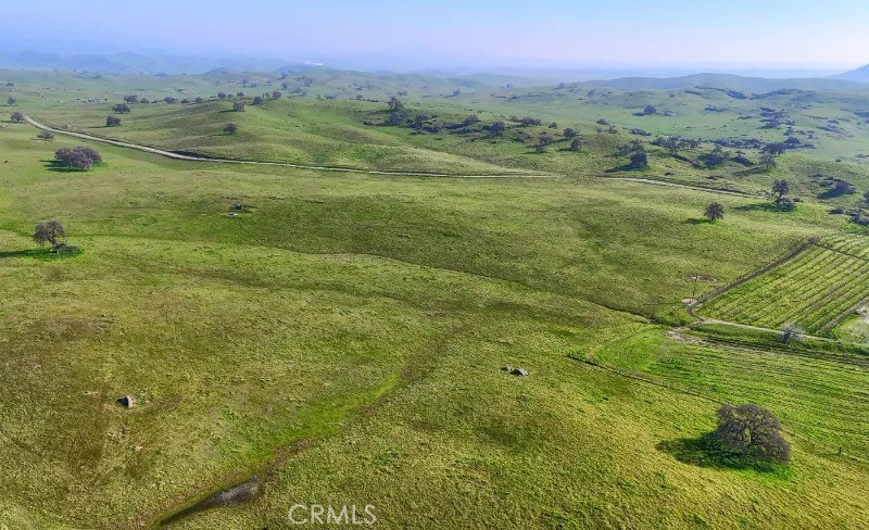41 Highway 41 Friant, CA 93626 - Photo 12 of 22 a view of a big yard with lots of trees