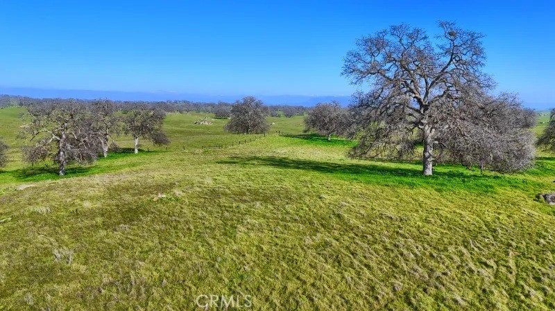 41 Highway 41 Friant, CA 93626 - Photo 15 of 22 a view of a green yard with a building in the background