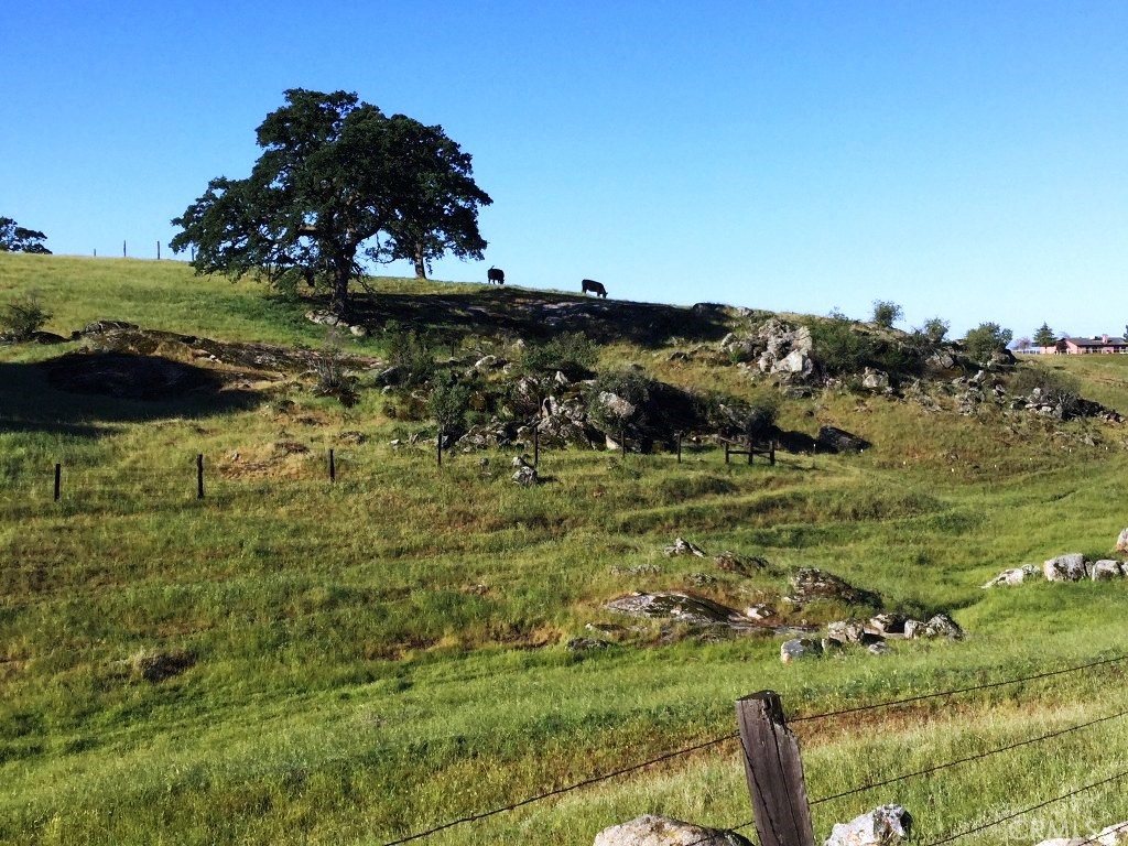 41 Highway 41 Friant, CA 93626 - Photo 3 of 9