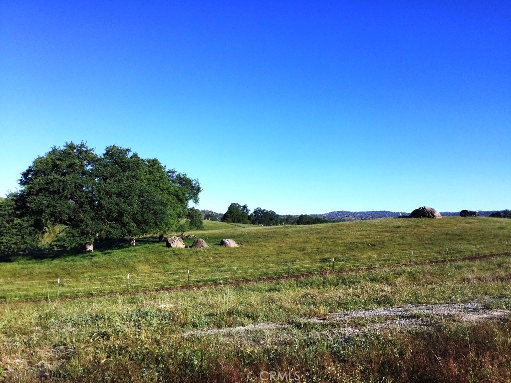 41 Highway 41 Friant, CA 93626 - Photo 4 of 9