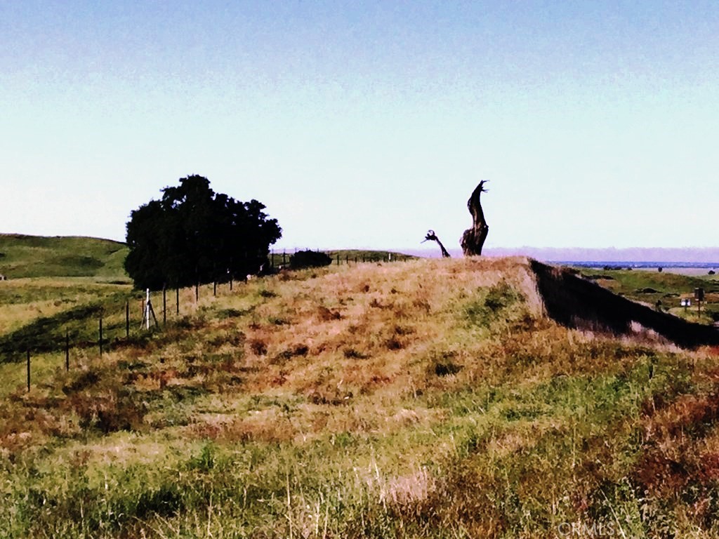 41 Highway 41 Friant, CA 93626 - Photo 7 of 9