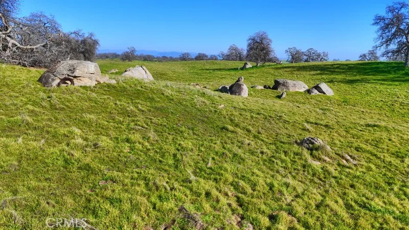 41 Highway 41 Friant, CA 93626 - Photo 8 of 22 a view of yard with swimming pool and outdoor seating