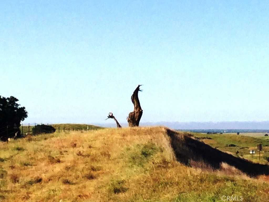 41 Highway 41 Friant, CA 93626 - Photo 9 of 9