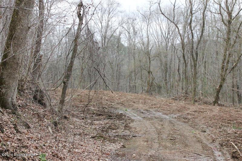 0 White Ridge Road Burkesville, KY 42717 - Photo 5 of 13 155 (Medium)