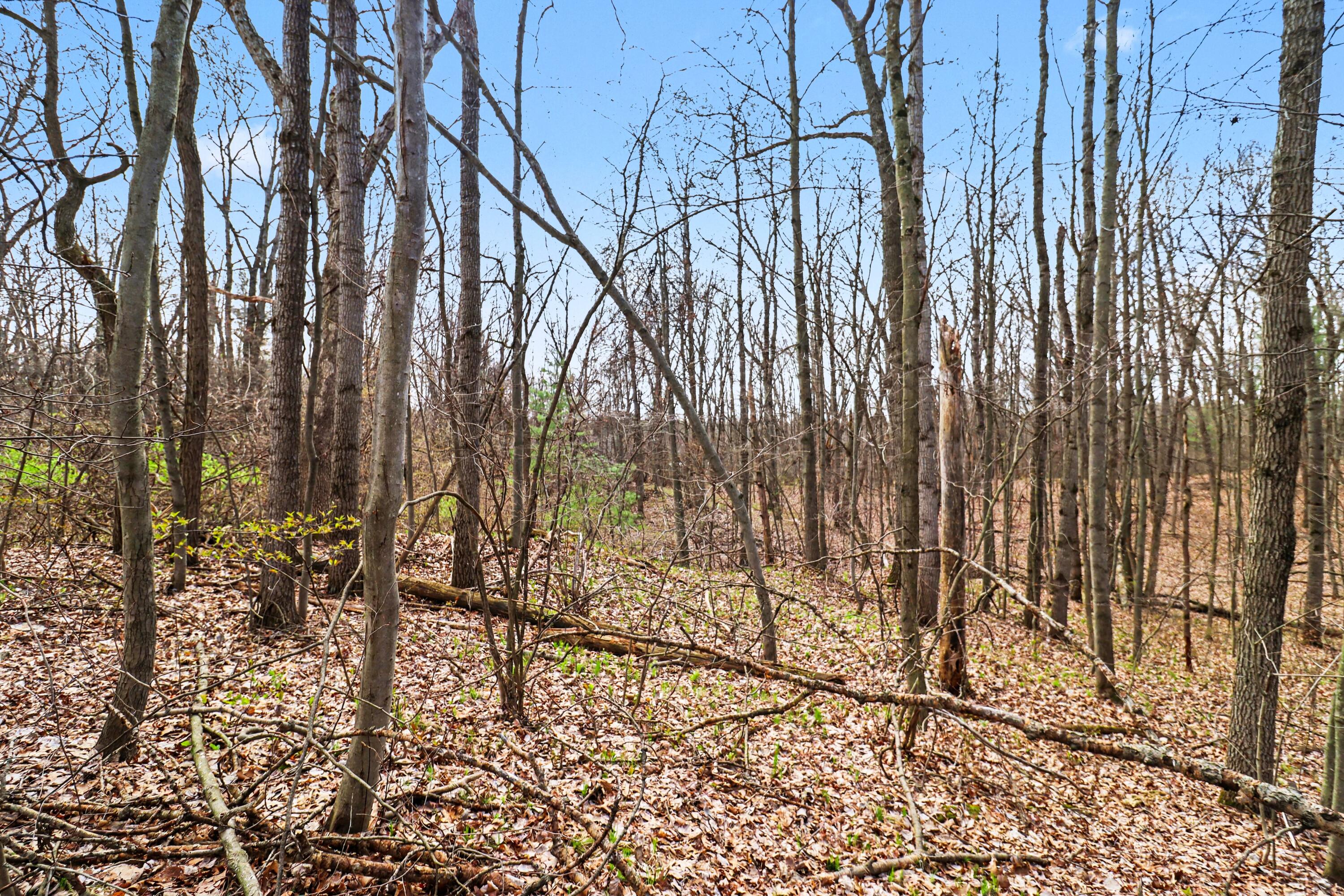 6940 19 Mile Road Northeast Cedar Springs, MI 49319 - Photo 1 of 8 file_8352