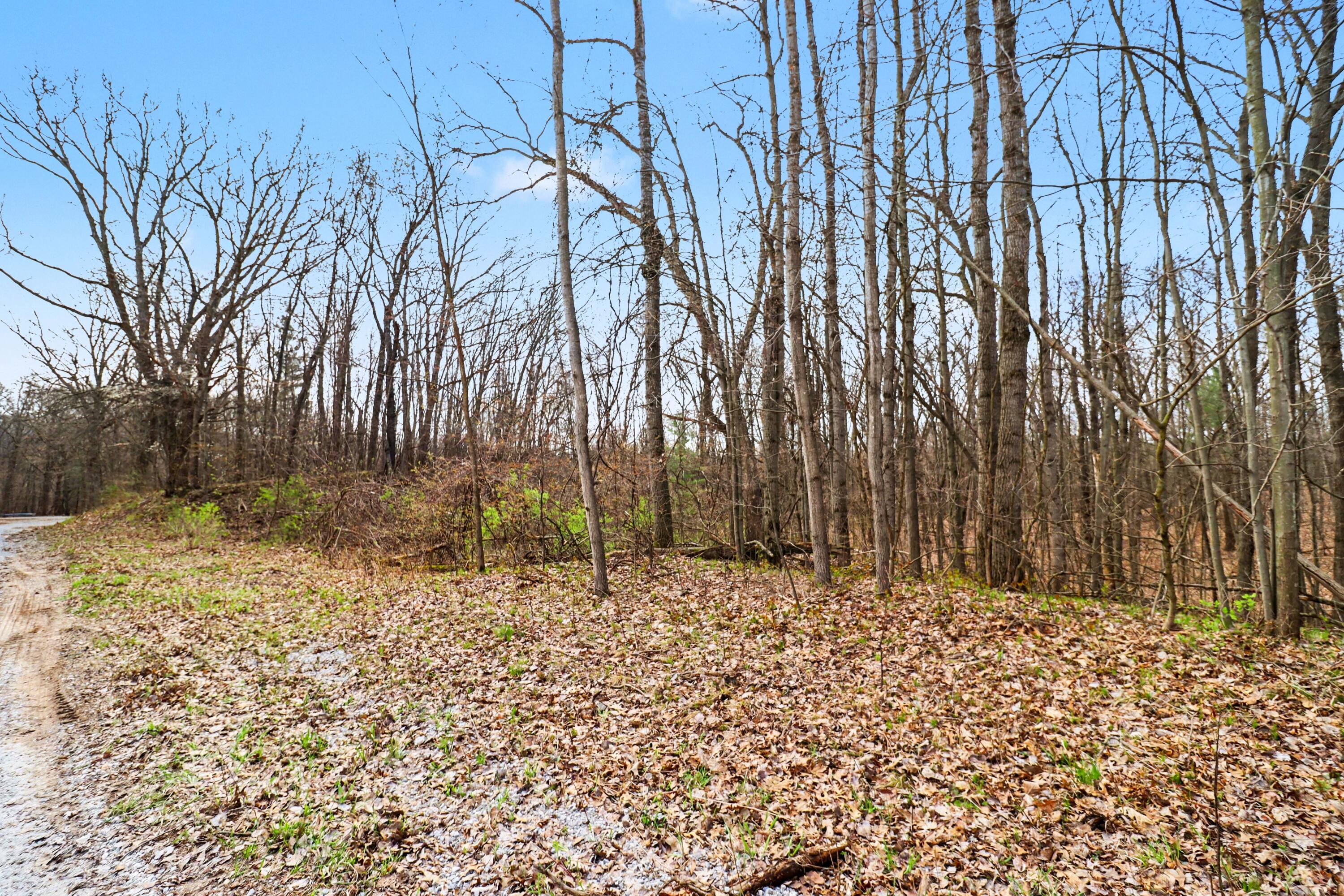 6940 19 Mile Road Northeast Cedar Springs, MI 49319 - Photo 3 of 8 file_8449