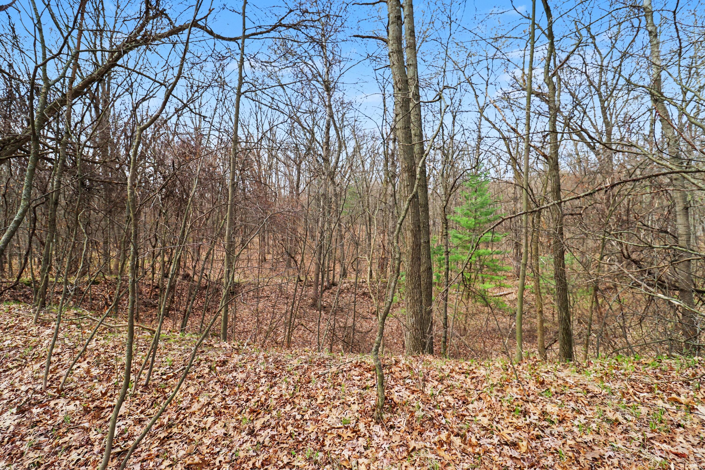 6940 19 Mile Road Northeast Cedar Springs, MI 49319 - Photo 5 of 8 file_9869