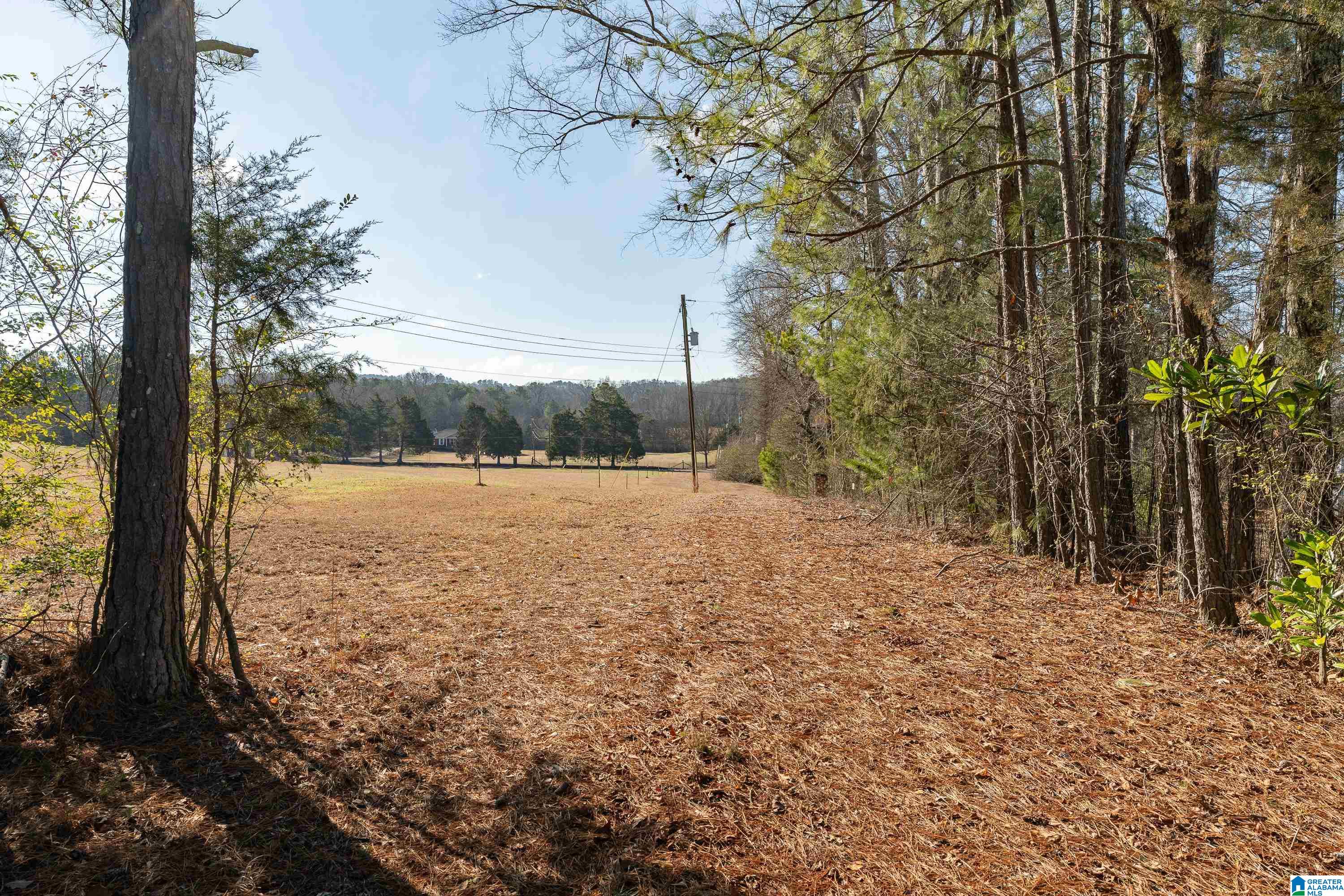 510 Cobb Road, Unit 1 Oxford, AL 36203 - Photo 15 of 22