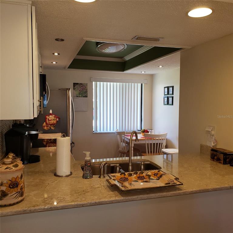 113 Nina Way, Unit 113 Oldsmar, FL 34677 - Photo 16 of 20