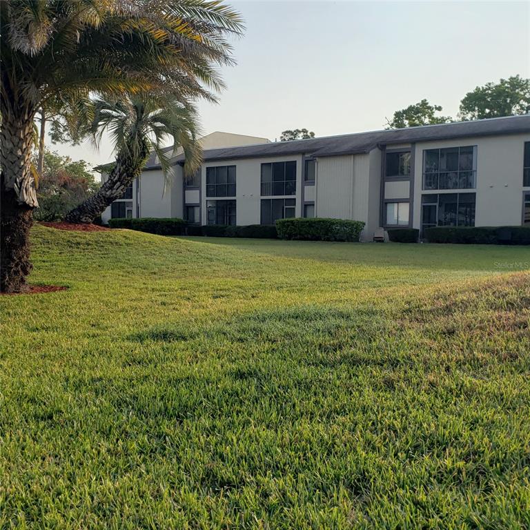 113 Nina Way, Unit 113 Oldsmar, FL 34677 - Photo 4 of 20