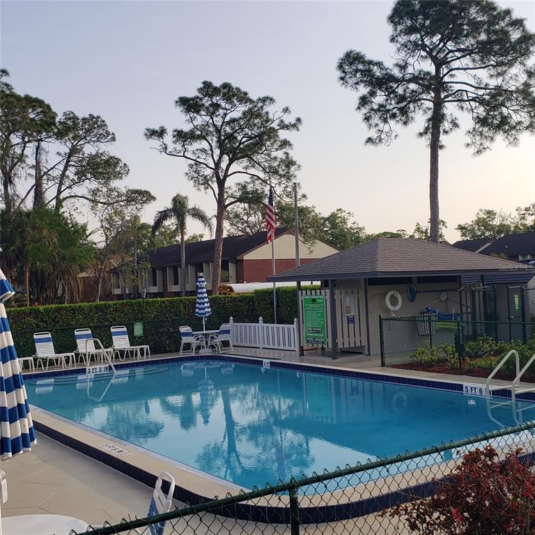 113 Nina Way, Unit 113 Oldsmar, FL 34677 - Photo 5 of 20