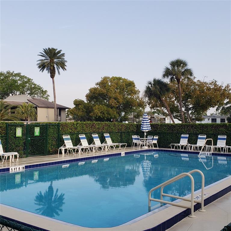 113 Nina Way, Unit 113 Oldsmar, FL 34677 - Photo 6 of 20