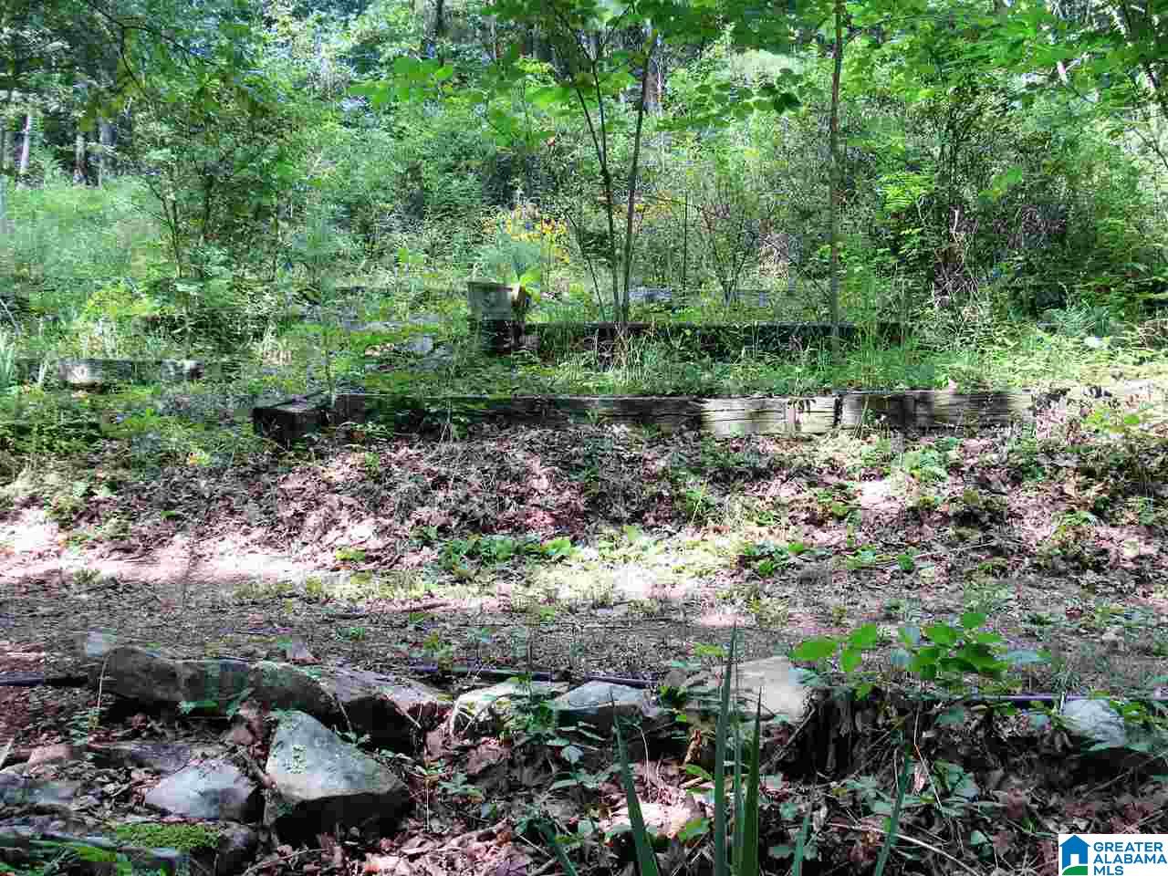 183 Green Acres Road Springville, AL 35146 - Photo 9 of 50