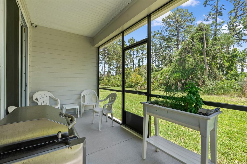 6 Signet Circle Flagler Beach, FL 32136 - Photo 49 of 63