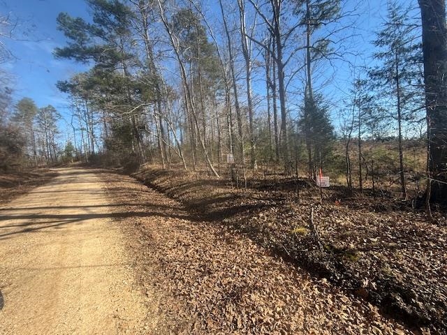 5 George Walter Road Bolivar, TN 38008 - Photo 12 of 13 a view of outdoor space with trees