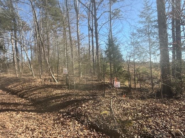 5 George Walter Road Bolivar, TN 38008 - Photo 13 of 13 a view of a yard with trees