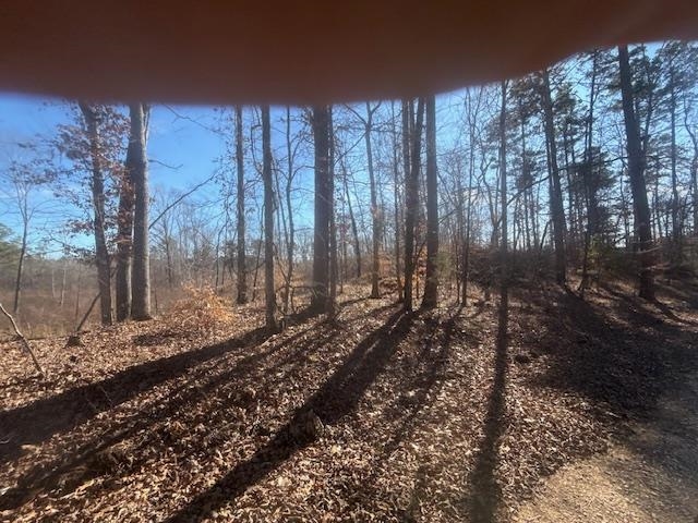 5 George Walter Road Bolivar, TN 38008 - Photo 4 of 13 a view of a backyard of the house