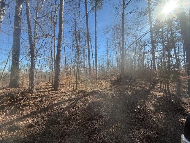 5 George Walter Road Bolivar, TN 38008 - Photo 5 of 13 a view of a yard with trees