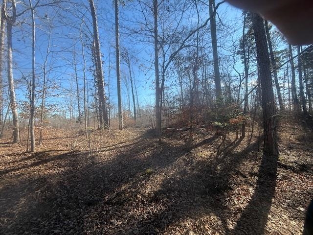 5 George Walter Road Bolivar, TN 38008 - Photo 6 of 13 a view of a yard with trees