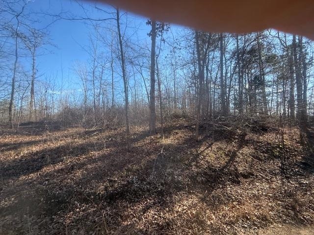 5 George Walter Road Bolivar, TN 38008 - Photo 7 of 13 a view of backyard with trees