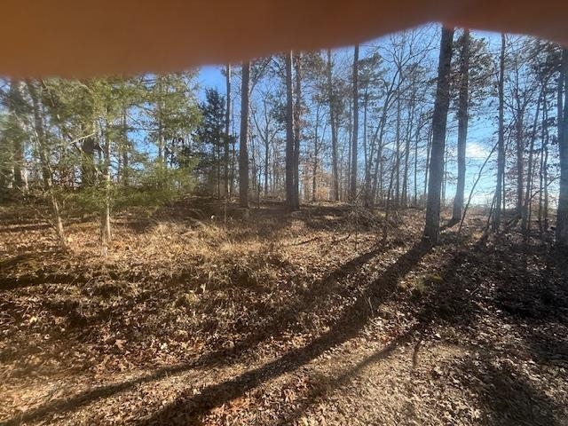 5 George Walter Road Bolivar, TN 38008 - Photo 8 of 13 a view of a forest with trees