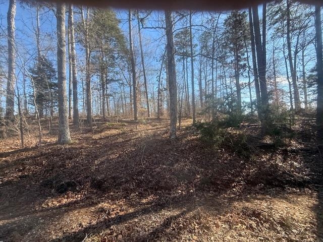 5 George Walter Road Bolivar, TN 38008 - Photo 9 of 13 a view of outdoor space with green space