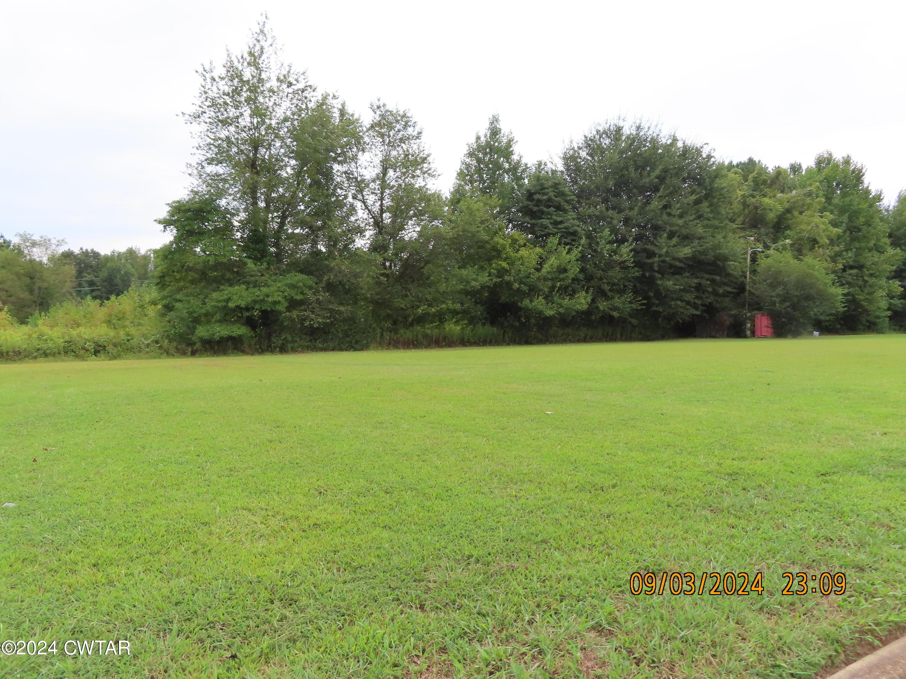 254 Rhea Street Jackson, TN 38301 - Photo 11 of 21 a view of a large garden with plants