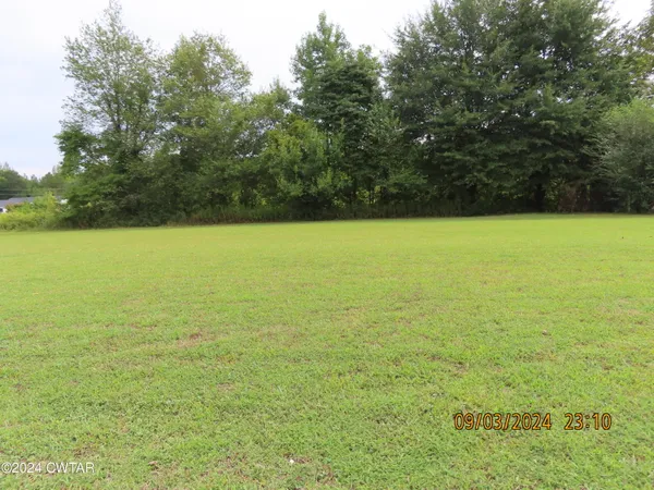 a view of yard with green space