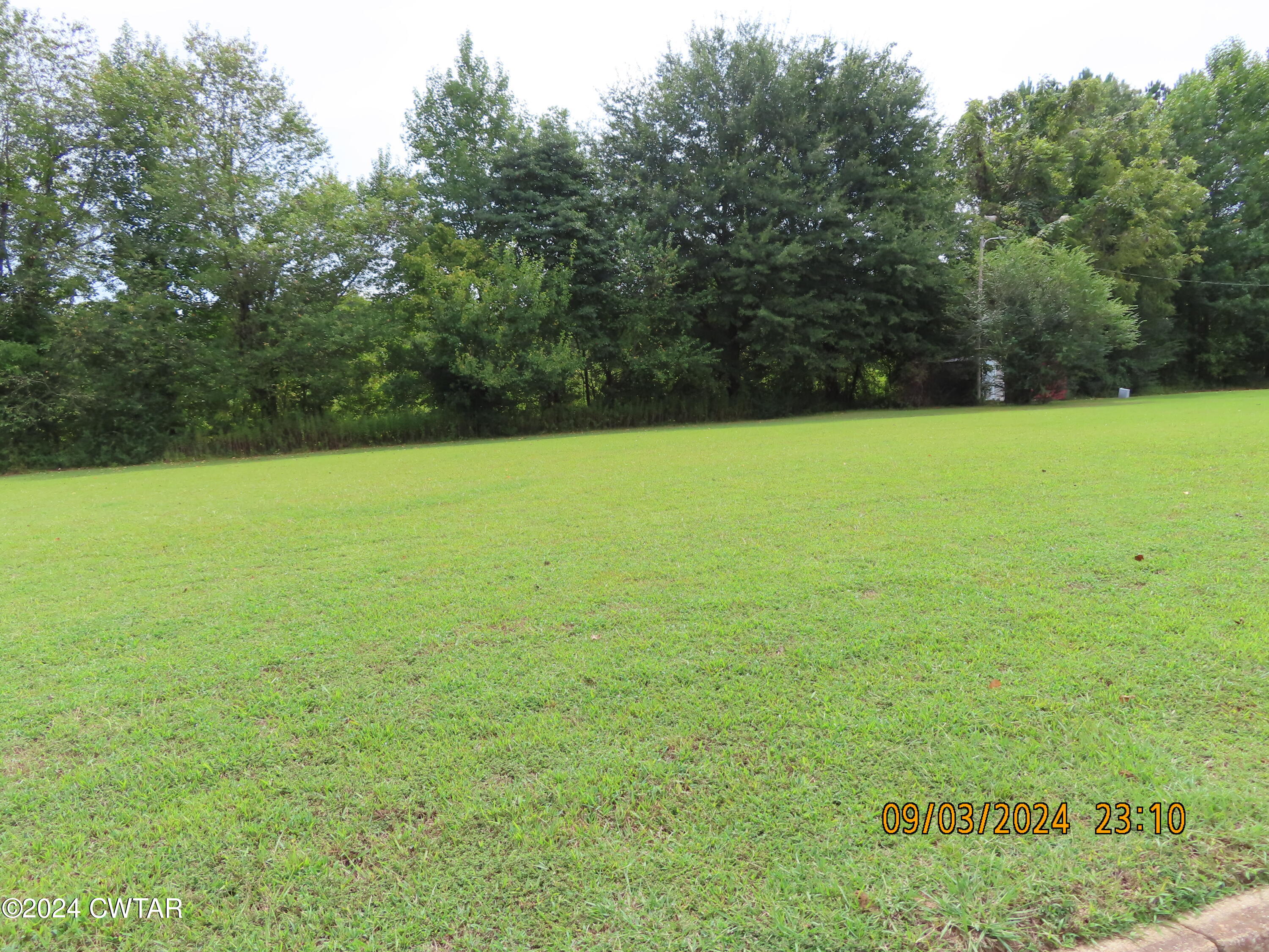 254 Rhea Street Jackson, TN 38301 - Photo 15 of 21 a view of yard with green space