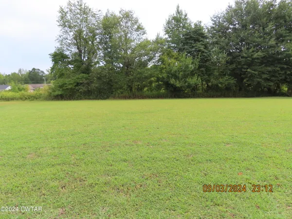 a view of yard with green space